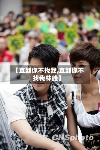 【直到你不找我,直到你不找我林峰】-第1张图片