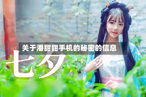 关于潘甜甜手机的秘密的信息-第1张图片