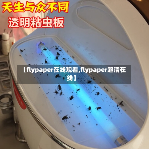 【flypaper在线观看,flypaper超清在线】-第1张图片
