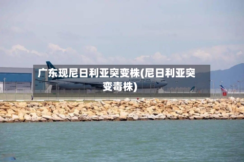 广东现尼日利亚突变株(尼日利亚突变毒株)-第2张图片