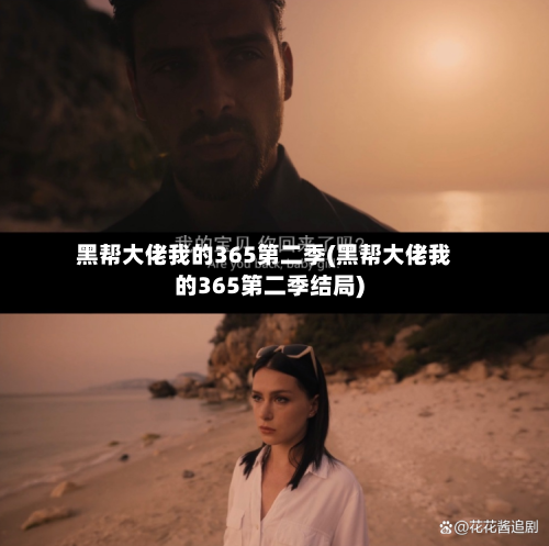 黑帮大佬我的365第二季(黑帮大佬我的365第二季结局)-第2张图片