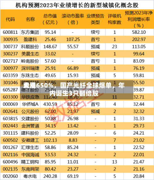 费用大涨650%，国产光纤全球爆单	，年内诞生3只翻倍股-第2张图片