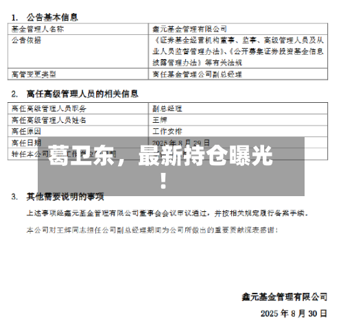 葛卫东，最新持仓曝光！-第2张图片