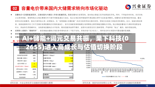AI+储能+词元交易共振，果下科技(02655)进入高成长与估值切换阶段-第3张图片