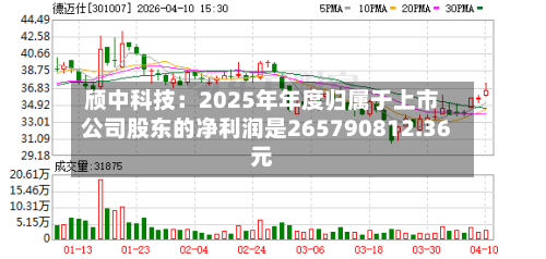 颀中科技：2025年年度归属于上市公司股东的净利润是265790812.36元-第3张图片