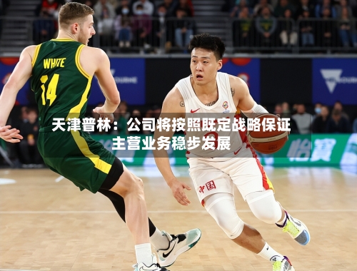 天津普林：公司将按照既定战略保证主营业务稳步发展-第1张图片