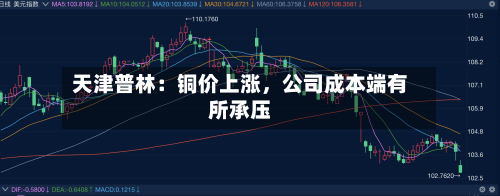 天津普林：铜价上涨	，公司成本端有所承压-第2张图片