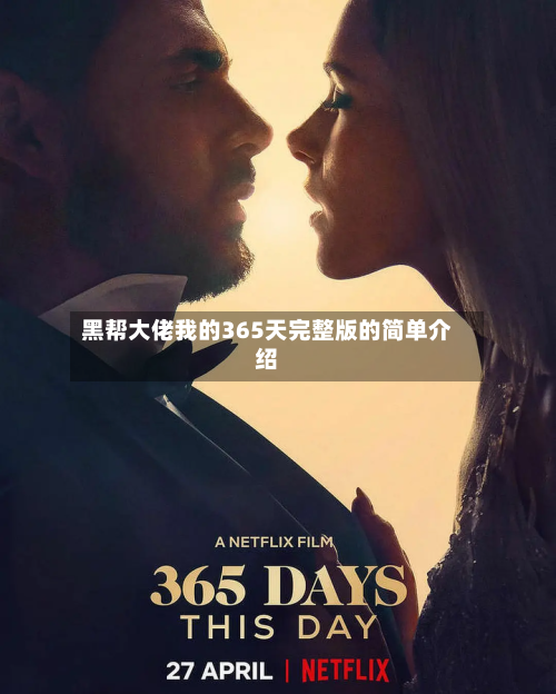 黑帮大佬我的365天完整版的简单介绍-第1张图片