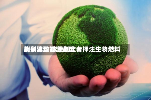 战争导致能源费用剧烈波动 政策制定者押注生物燃料-第1张图片