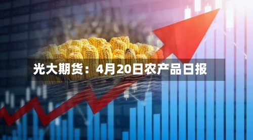 光大期货：4月20日农产品日报-第3张图片