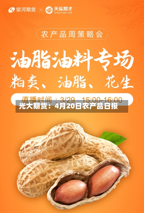 光大期货：4月20日农产品日报-第2张图片