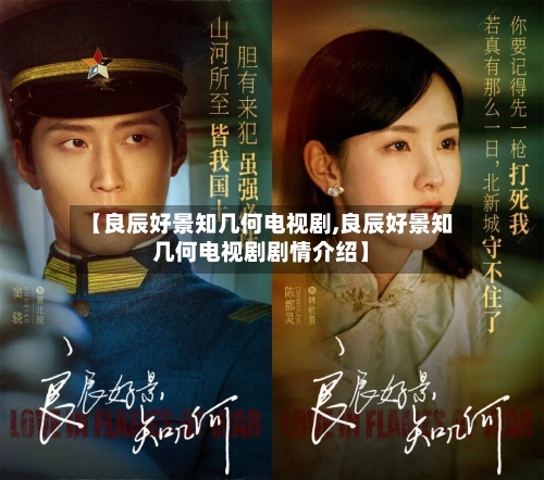 【良辰好景知几何电视剧,良辰好景知几何电视剧剧情介绍】-第2张图片