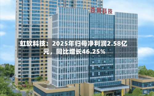 虹软科技：2025年归母净利润2.58亿元，同比增长46.25%-第1张图片