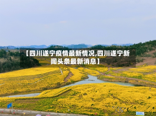 【四川遂宁疫情最新情况,四川遂宁新闻头条最新消息】-第2张图片
