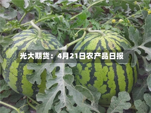 光大期货：4月21日农产品日报-第1张图片