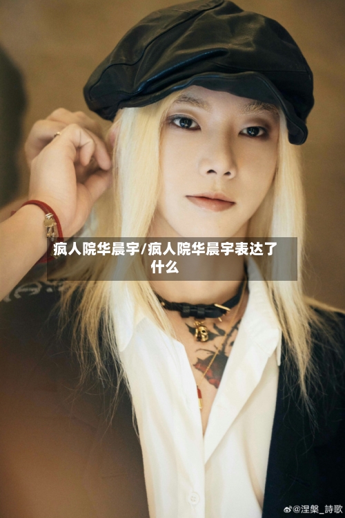 疯人院华晨宇/疯人院华晨宇表达了什么-第1张图片