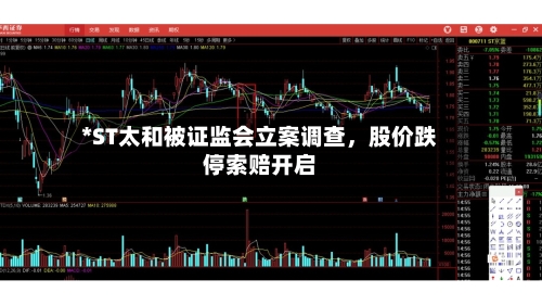 *ST太和被证监会立案调查	，股价跌停索赔开启-第2张图片