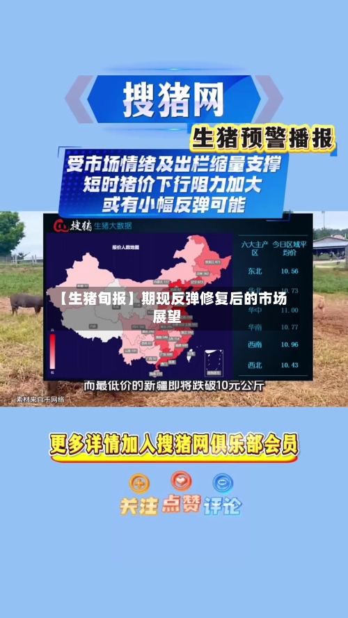 【生猪旬报】期现反弹修复后的市场展望-第1张图片
