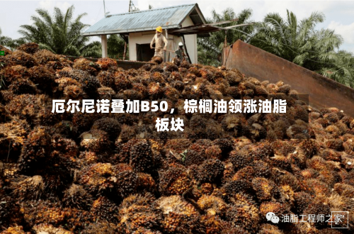 厄尔尼诺叠加B50，棕榈油领涨油脂板块-第2张图片