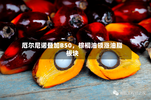 厄尔尼诺叠加B50	，棕榈油领涨油脂板块-第3张图片