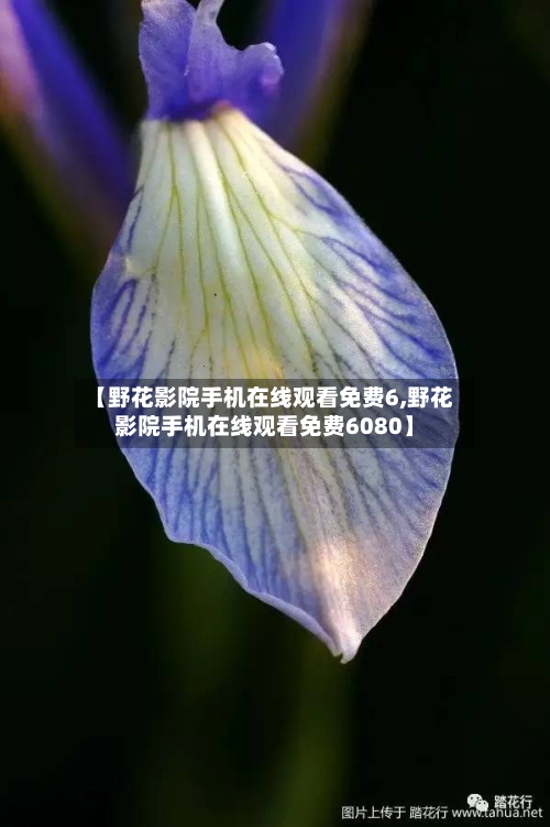 【野花影院手机在线观看免费6,野花影院手机在线观看免费6080】-第1张图片