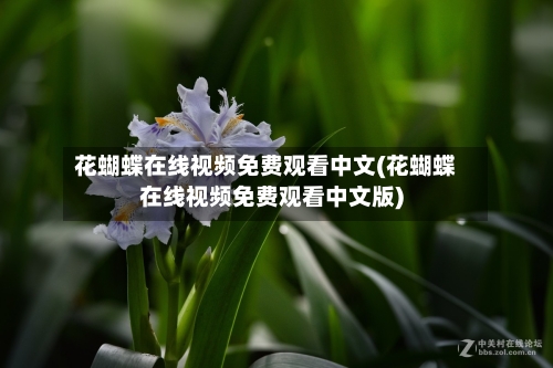 花蝴蝶在线视频免费观看中文(花蝴蝶在线视频免费观看中文版)-第2张图片