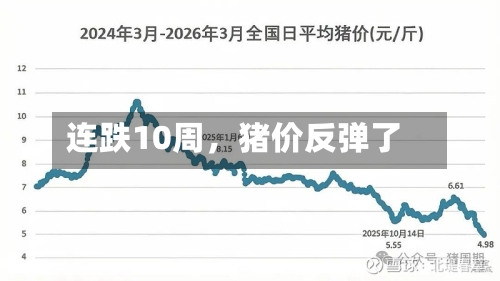 连跌10周，猪价反弹了-第3张图片