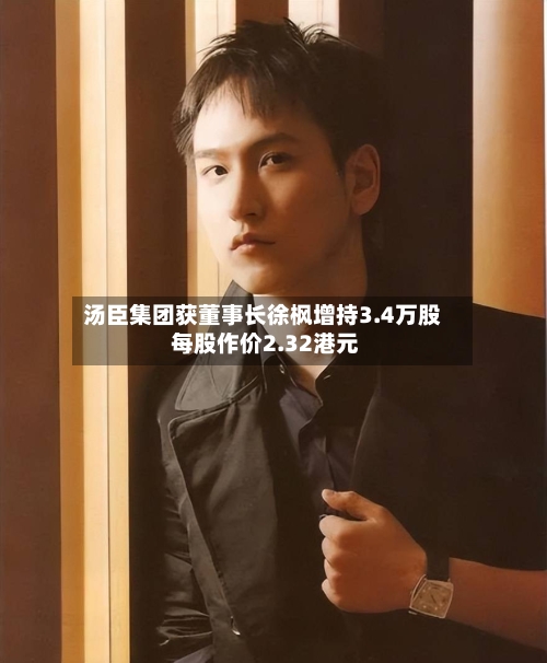 汤臣集团获董事长徐枫增持3.4万股 每股作价2.32港元-第1张图片