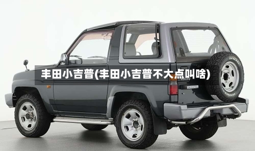 丰田小吉普(丰田小吉普不大点叫啥)-第1张图片