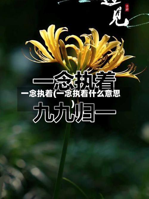 一念执着(一念执着什么意思)-第1张图片