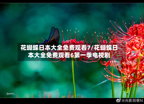 花蝴蝶日本大全免费观看7/花蝴蝶日本大全免费观看6第一季电视剧-第3张图片