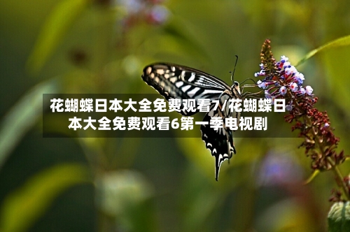 花蝴蝶日本大全免费观看7/花蝴蝶日本大全免费观看6第一季电视剧-第1张图片