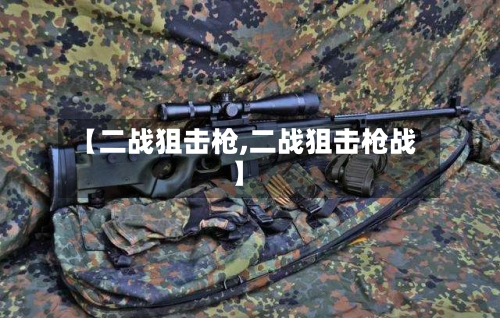 【二战狙击枪,二战狙击枪战】-第3张图片