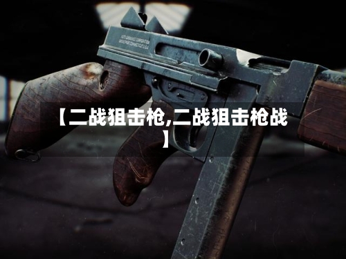 【二战狙击枪,二战狙击枪战】-第2张图片