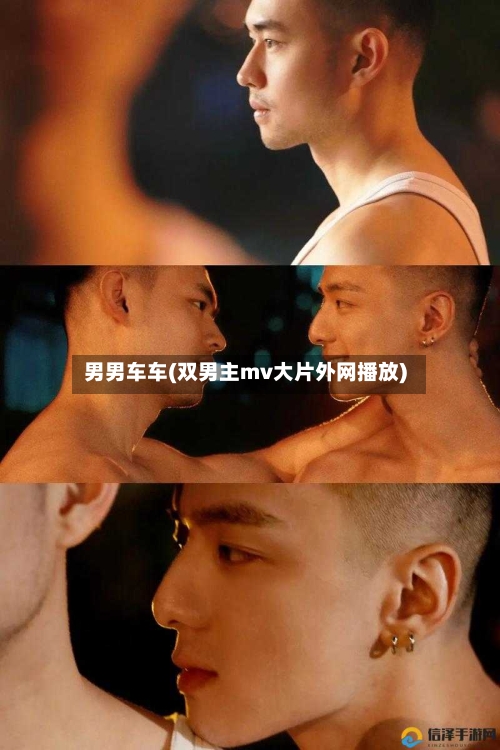 男男车车(双男主mv大片外网播放)-第2张图片