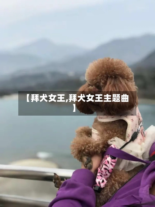 【拜犬女王,拜犬女王主题曲】-第1张图片