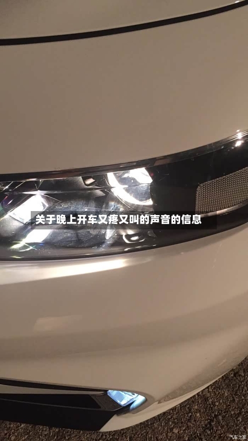 关于晚上开车又疼又叫的声音的信息-第2张图片