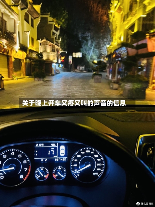 关于晚上开车又疼又叫的声音的信息-第3张图片
