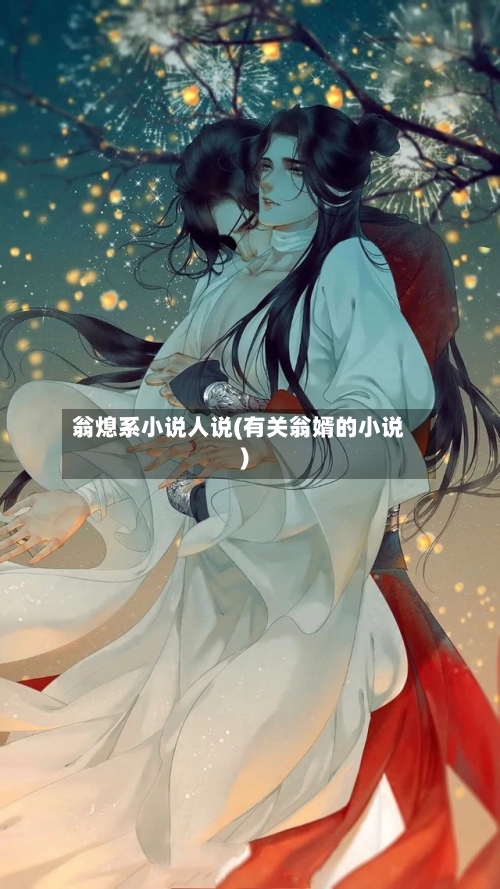 翁熄系小说人说(有关翁婿的小说)-第1张图片