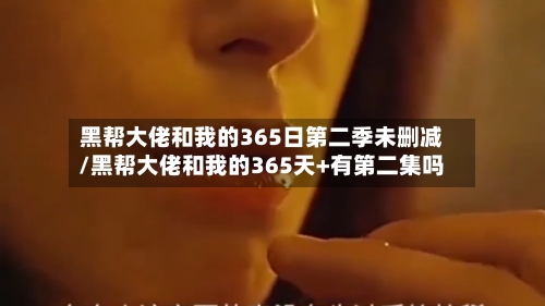 黑帮大佬和我的365日第二季未删减/黑帮大佬和我的365天+有第二集吗-第1张图片