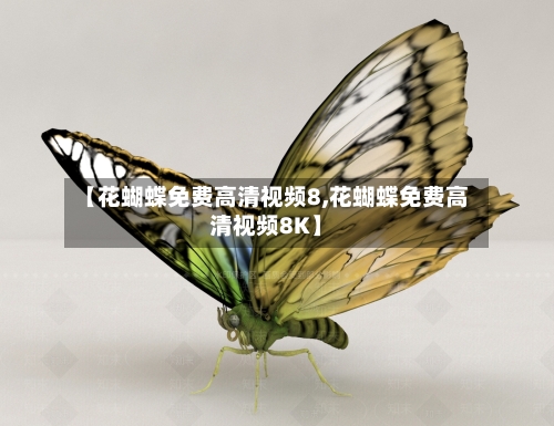 【花蝴蝶免费高清视频8,花蝴蝶免费高清视频8K】-第1张图片