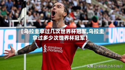 【乌拉圭拿过几次世界杯冠军,乌拉圭拿过多少次世界杯冠军】-第3张图片