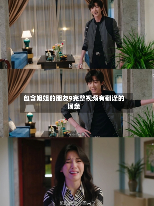 包含姐姐的朋友9完整视频有翻译的词条-第1张图片