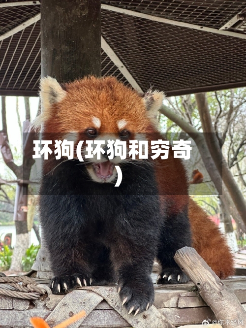 环狗(环狗和穷奇)-第1张图片