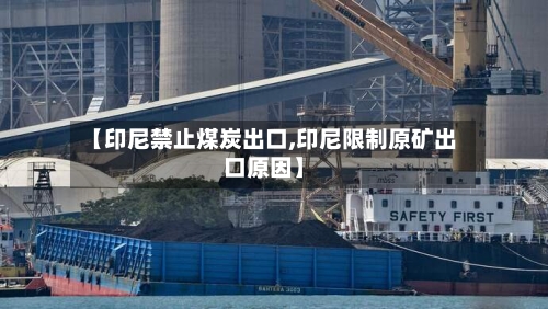 【印尼禁止煤炭出口,印尼限制原矿出口原因】-第3张图片