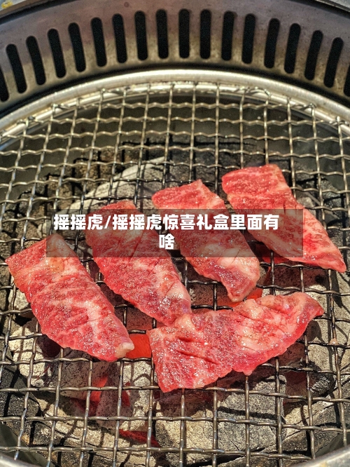 摇摇虎/摇摇虎惊喜礼盒里面有啥-第2张图片