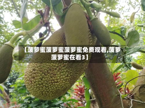 【菠萝蜜菠萝蜜菠萝蜜免费观看,菠萝菠萝蜜在看3】-第1张图片